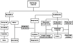 Figura 2: Efectos de los estímulos nocivos y supresión de respuestas a los mismos.36 (modificado)