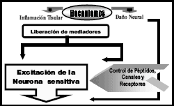 canela de velho comprimido,remedio caseiro canela de velho,remedio canela de velho,pra q serve canela de velho,canela de velho remédio,canela de velho onde encontrar,Miconia Albicans,analgésicas,anti-inflamatórias,antioxidantes,antimutagênicas,antimicrobianas,antitumorais,hepatoprotetoras ,tônica digestiva ,benefios para a saúde ´,purificação do sangue,neutralização dos radicais livres ,redução da dor ,inflamação das articulações,artrose ,artrite reumatoide