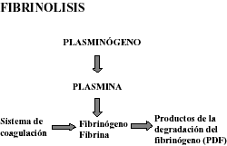 Figura 5: Reacción enzimática de la fibrinolisis.