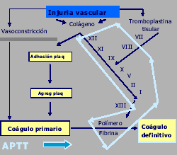 Figura 7: KPTT (Véase explicación en el texto)