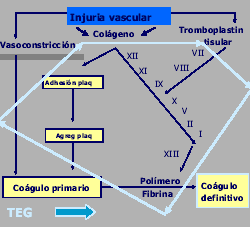 Figura 8: TEG (Véase explicación en el texto)