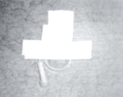 Figura 4